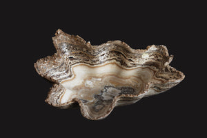 Decorative Bowl in Cream Onyx