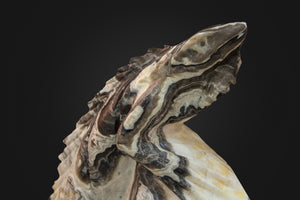 Zebra Onyx Iguana Sculpture